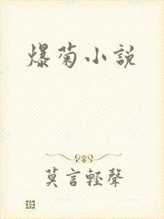 爆菊小说