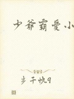 少爷霸爱小丫头