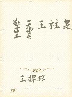 擎天玉柱是什么生肖