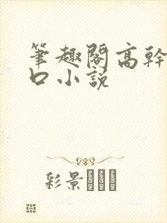 笔趣阁高干文入口小说