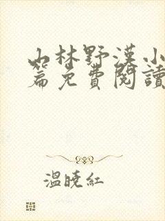 山林野汉小说全篇免费阅读