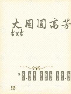 大团圆高芳小说txt