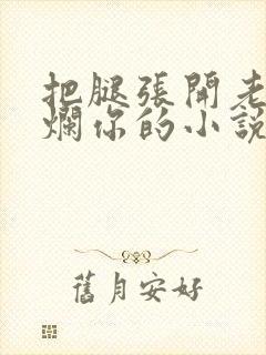 把腿张开老子臊烂你的小说