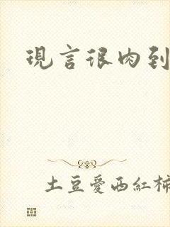 现言很肉到处做