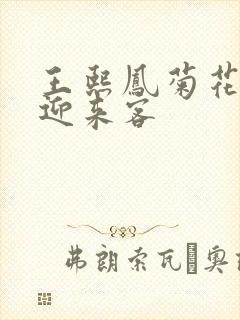 王熙凤菊花门初迎来客