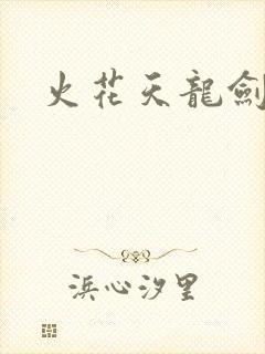 火花天龙剑