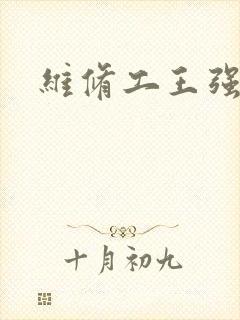 维修工王强张婷