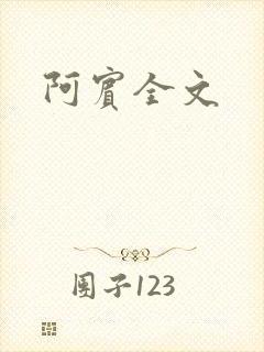阿宾全文