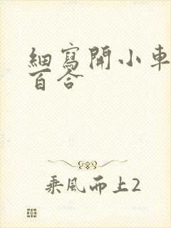 细写开小车车的百合
