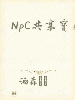 NpC共享宝贝
