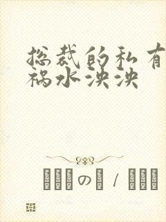 总裁的私有宝贝祸水泱泱