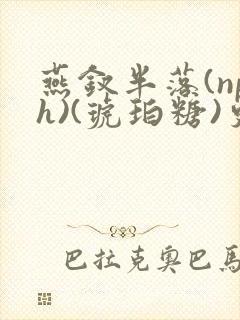 燕钗半落(nph)(琥珀糖)更新