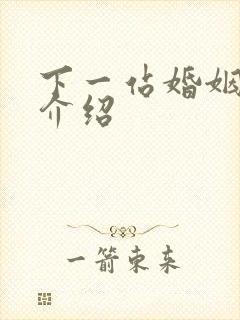 下一站婚姻剧情介绍