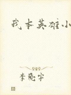 我本英雄小说
