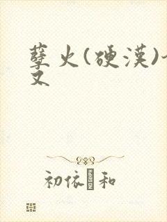 孽火(硬汉)今又