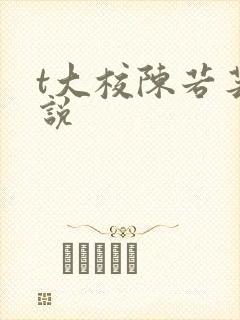 t大校陈若芸小说
