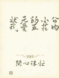 状元的小公主(我爱五花肉)