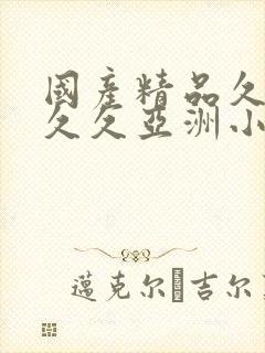 国产精品久久久久久亚洲小说