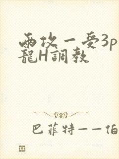两攻一受3p双龙H调教