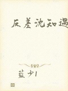 反差沈知遇晏应