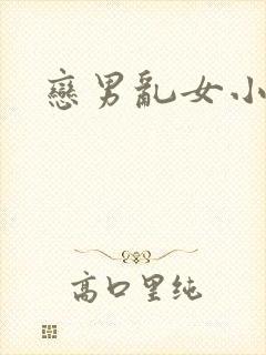 恋男乱女小说