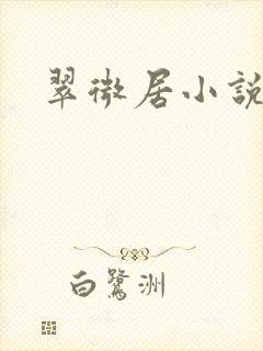 翠微居小说