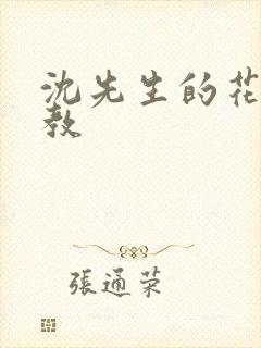 沈先生的花式管教