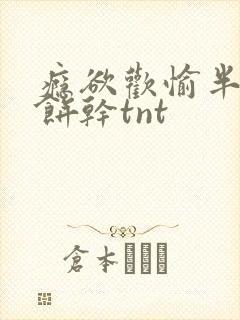 瘾欲欢愉半块小饼干tnt