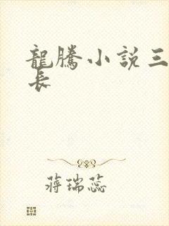 龙腾小说三宝局长