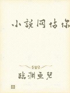 小说网站你懂的