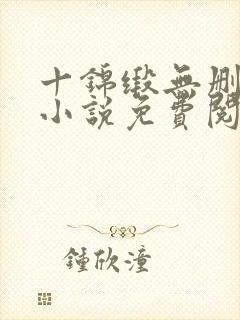 十锦缎无删原著小说免费阅读