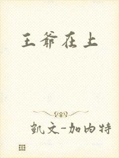王爷在上