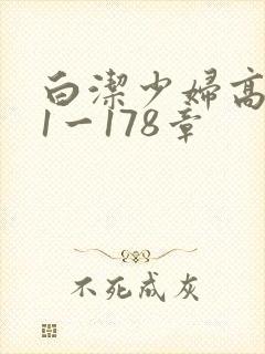 白洁少妇高义第1一178章