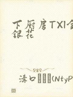 下厨房TXl金银花