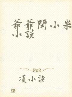 爷爷开小米的包小说