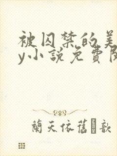 被囚禁的美人by小说免费阅读