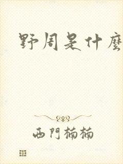 野周是什么意思