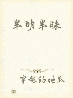 半明半昧