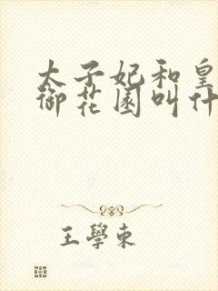 太子妃和皇帝在御花园叫什么小说