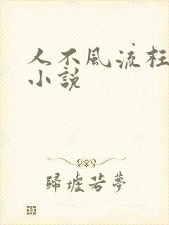人不风流枉少年小说