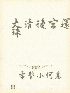 大清后宫还君明珠