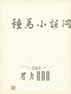 种马小说网