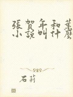 张贺年和叶繁姿小说叫什么名字