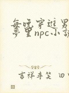 每晚穿进男神的梦里npc小说