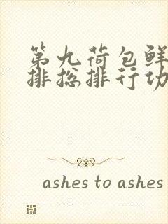 第九荷包鲜辣肉排总排行功能介绍