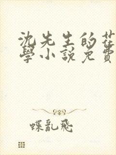 沈先生的花式教学小说免费