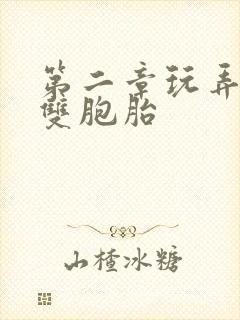 第二章玩弄校花双胞胎