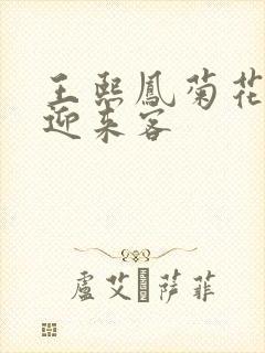 王熙凤菊花门初迎来客