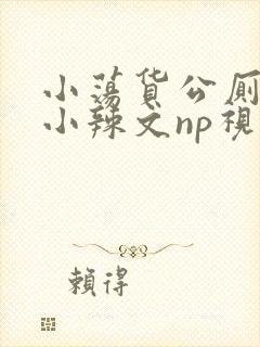 小荡货公厕h文小辣文np视频