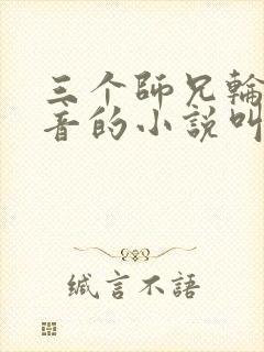 三个师兄轮流上音的小说叫什么